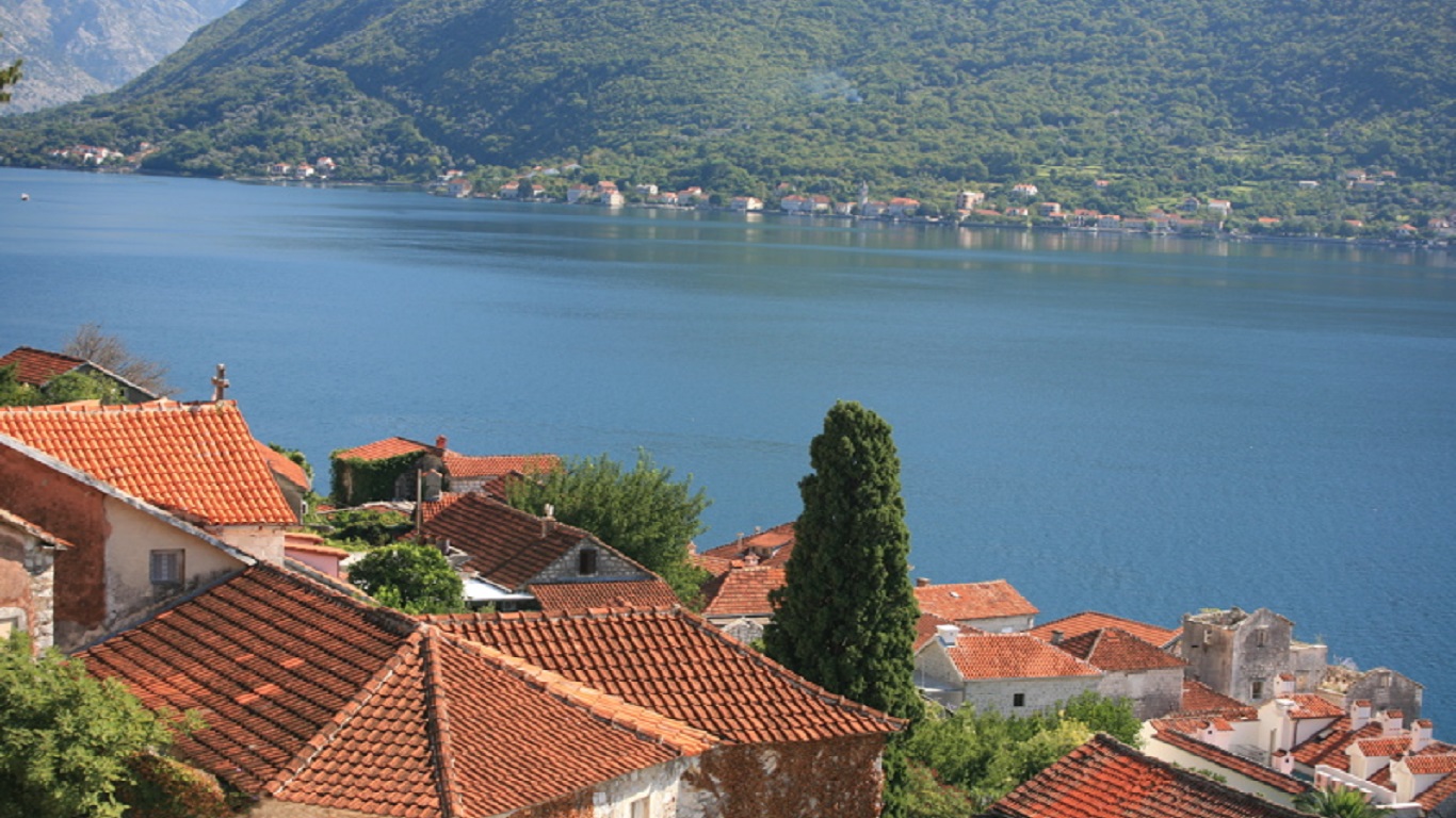 Kotor