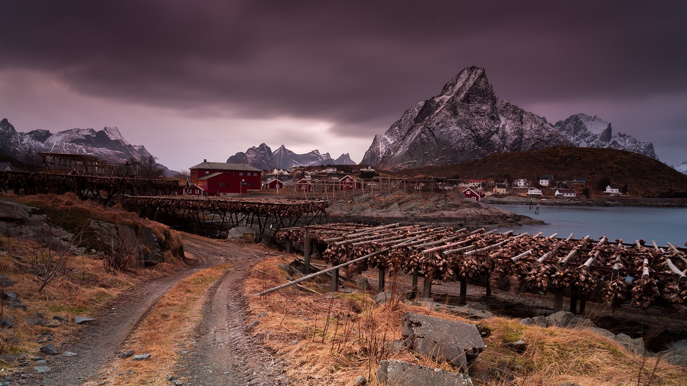 Reine